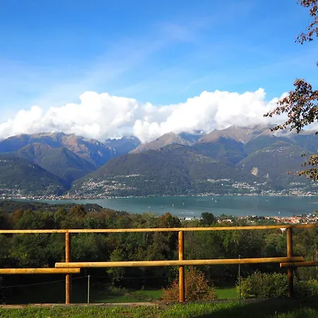 Perlino Колико