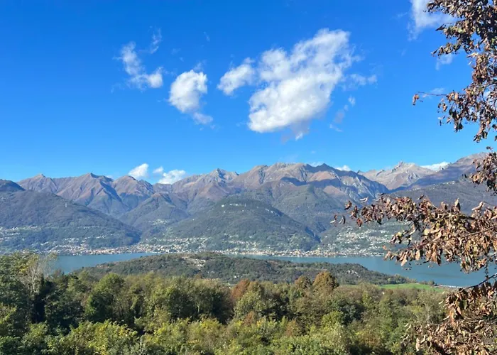 Perlino
